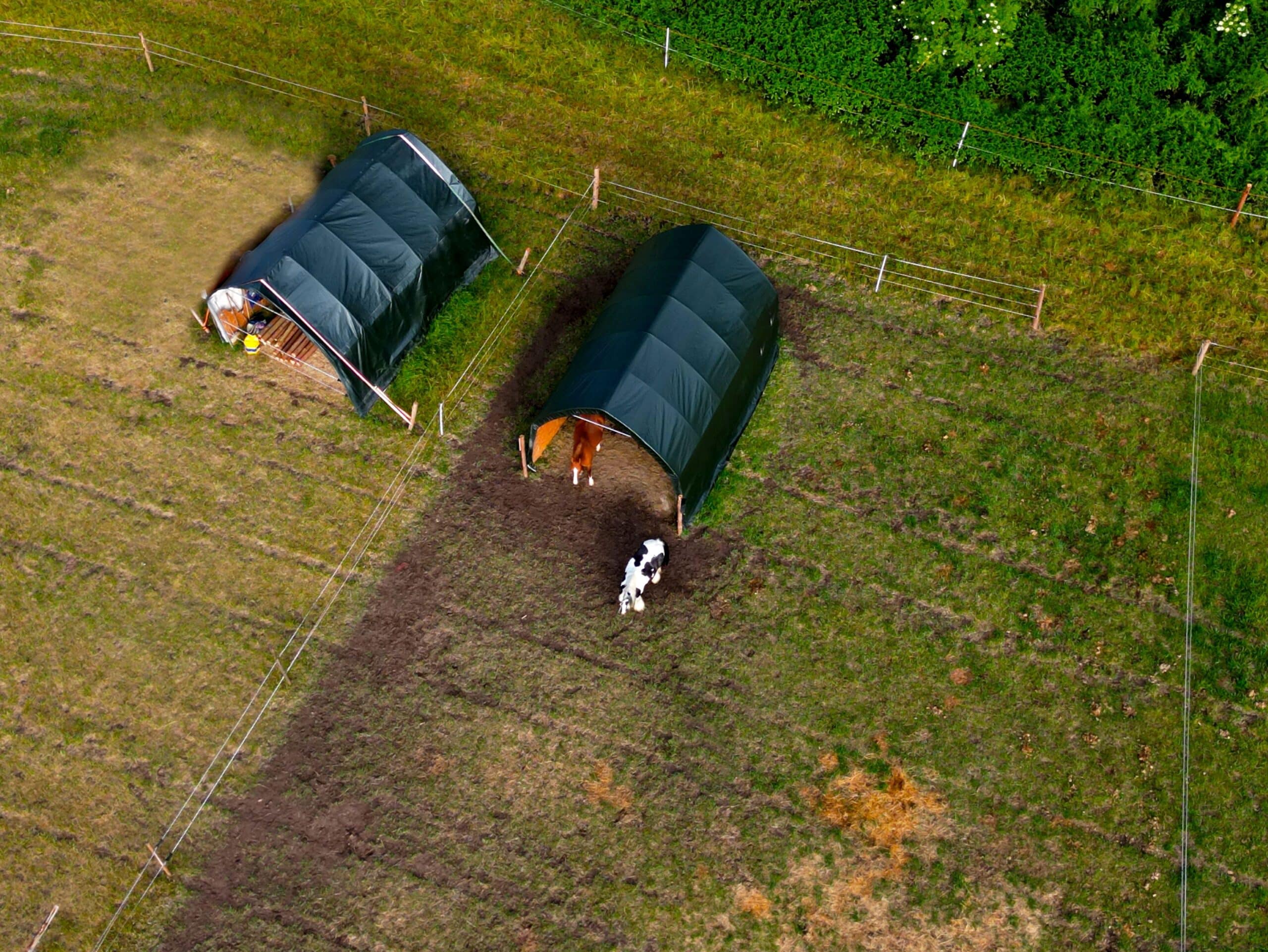 Weidezelte in einer landwirtschaftlichen Umgebung mit Pferd und Kuh